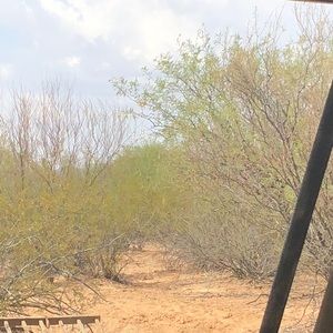 Meet your Posher, Marcia